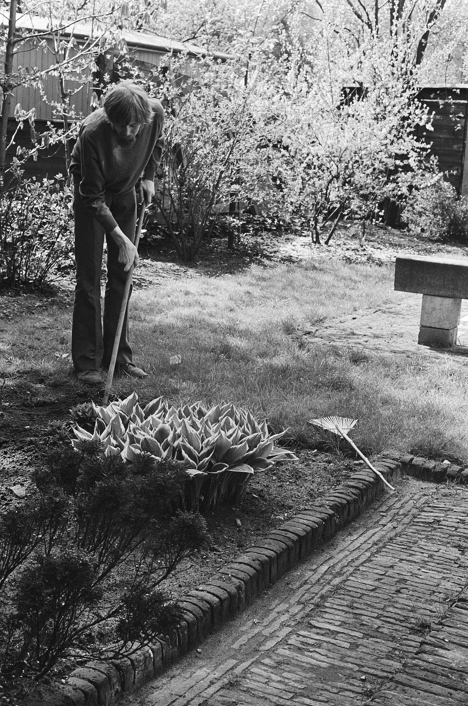 Tuinman schoffelt een border naast een gazon